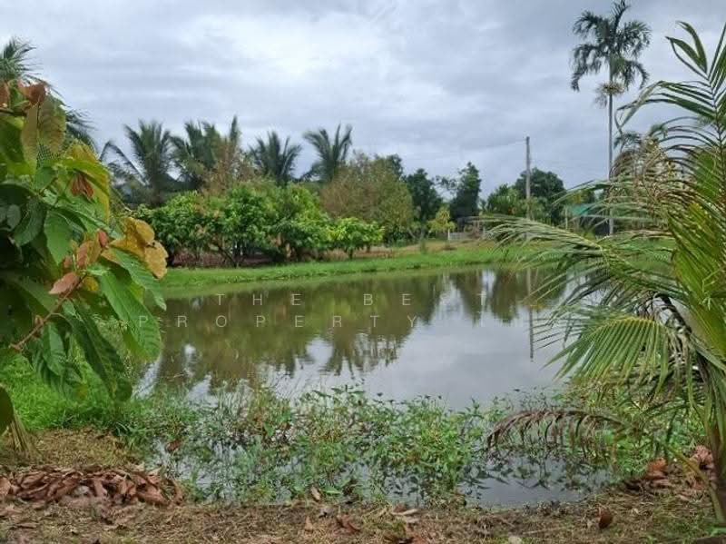 ที่ดินเวียงเชียงรุ้ง เชียงราย, Chiang Rai, Thung Ko, Wieng Chiang Rung, Chiang Rai, , 29,612 sqm, Land For Sale, by The Best Property ไนล์, 500519707 - DDproperty.com