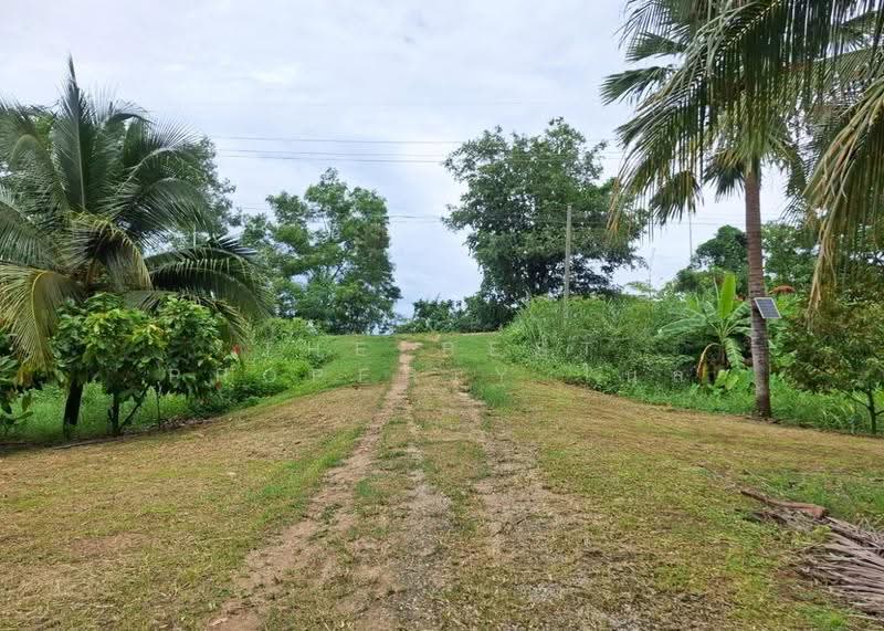 ที่ดินเวียงเชียงรุ้ง เชียงราย, Chiang Rai, Thung Ko, Wieng Chiang Rung, Chiang Rai, , 29,612 sqm, Land For Sale, by The Best Property ไนล์, 500519707 - DDproperty.com