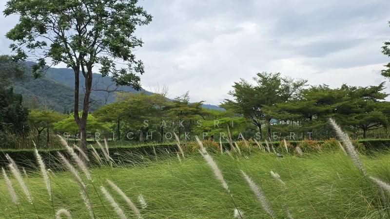Toscana Valley : ทอสคาน่า วัลเลย์, นครราชสีมา, 2 หมู่ที่ 11 บ้านเนินทอง, โป่งตาลอง, ปากช่อง, นครราชสีมา, 552 ตร.ม., บ้านเดี่ยว ขาย, โดย Saksri Sirichokprasert , 500519785 - DDproperty.com