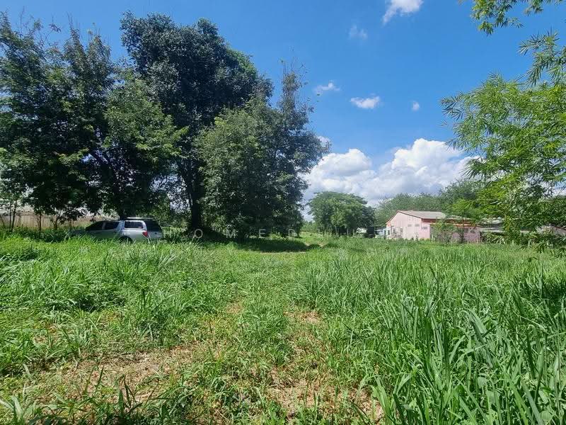 1 Rai 35 Sq.W. (435 Sq.W.) on Ban Rai Road, Nong Sarai, Pak Chong, Nakhon Ratchasima, ทางหลวงพิเศษหมายเลข6, Khanong Phra, Pak Chong, Nakhon Ratchasima, , 1,740 sqm, Land For Sale, by HOMEPLUS REALTY - คุณต่าย, 500519905 - DDproperty.com