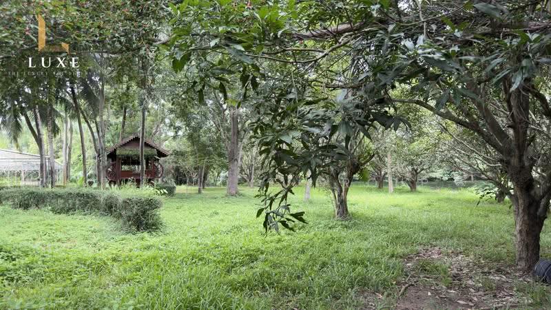 Luxury Estate for Sale in Rayong, Rayong, Na Ta Khuan, Muang Rayong, Rayong, 9 Bedrooms, 10,000 sqm, Single Detached House For Sale, by The Luxe Group, 500519962 - DDproperty.com