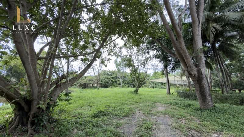 Luxury Estate for Sale in Rayong, Rayong, Na Ta Khuan, Muang Rayong, Rayong, 9 Bedrooms, 10,000 sqm, Single Detached House For Sale, by The Luxe Group, 500519962 - DDproperty.com