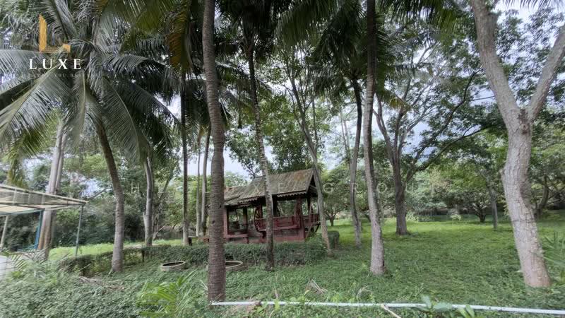 Luxury Estate for Sale in Rayong, Rayong, Na Ta Khuan, Muang Rayong, Rayong, 9 Bedrooms, 10,000 sqm, Single Detached House For Sale, by The Luxe Group, 500519962 - DDproperty.com