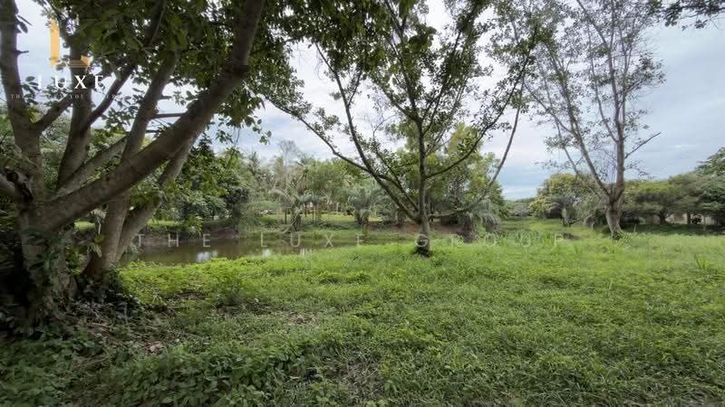 Luxury Estate for Sale in Rayong, Rayong, Na Ta Khuan, Muang Rayong, Rayong, 9 Bedrooms, 10,000 sqm, Single Detached House For Sale, by The Luxe Group, 500519962 - DDproperty.com