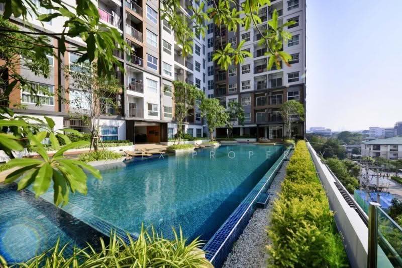 The Trust Condo Ngamwongwan, Nonthaburi, 74 Ngamwongwan Road, Bang Khen, Muang Nonthaburi, Nonthaburi, 1 Bedroom, 30 sqm, Condo For Sale, by Connex Property, 500520056 - DDproperty.com