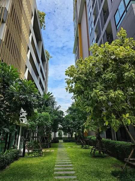 The Sky Sukhumvit, Bangkok, 103-4 Sukhumvit Road, Bang Na Nuea, Bang Na, Bangkok, 1 Bedroom, 35 sqm, Condo For Rent, by Keerati Wangrujirakul, 500520111 - DDproperty.com