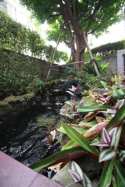 Grandio Ladprao-Kaset Nawamin, Bangkok, Soi Nawamin 42, Yeak 27, Khlong Kum, Bueng Kum, Bangkok, 4 Bedrooms, 180 sqm, Single Detached House For Rent, by Woraruethai Klumbun, 500520183 - DDproperty.com