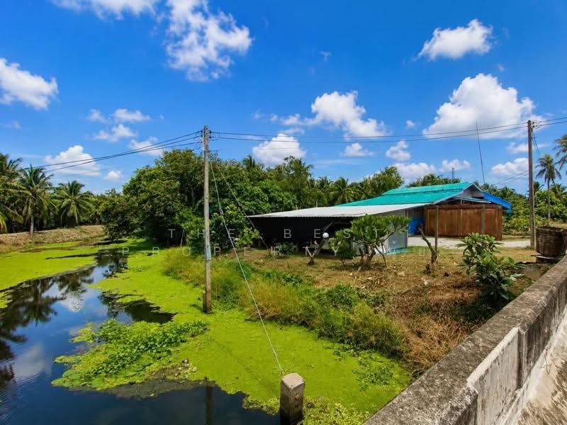 บ้านเดี่ยวดำเนินสะดวก ราชบุรี, ราชบุรี, แพงพวย, ดำเนินสะดวก, ราชบุรี, 150 ตร.ม., บ้านเดี่ยว ขาย, โดย The Best Property นุ้ย, 500520219 - DDproperty.com