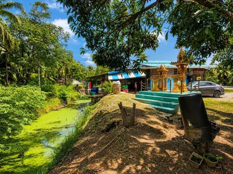 บ้านเดี่ยวดำเนินสะดวก ราชบุรี, ราชบุรี, แพงพวย, ดำเนินสะดวก, ราชบุรี, 150 ตร.ม., บ้านเดี่ยว ขาย, โดย The Best Property นุ้ย, 500520219 - DDproperty.com