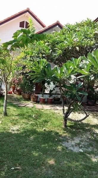house, ประจวบคีรีขันธ์, หัวนา, หนองแก, หัวหิน, ประจวบคีรีขันธ์, 716 ตร.ม., บ้านเดี่ยว ขาย, โดย Chutima Saenieo, 500520258 - DDproperty.com