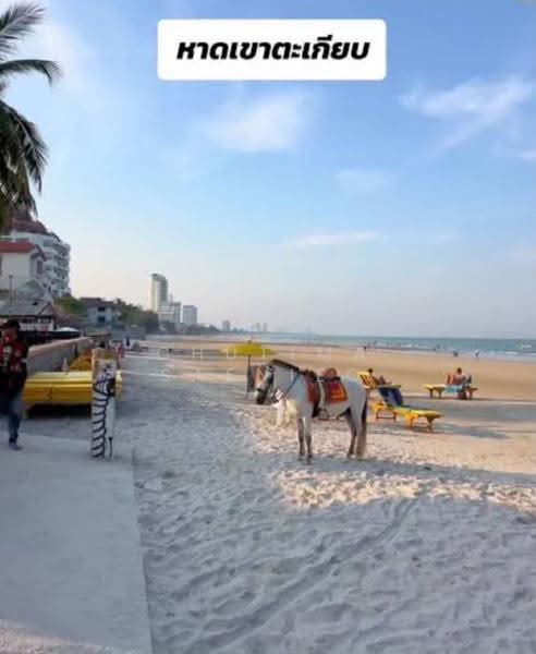House in Huahin Soi 6, Prachuap Khiri Khan, หัวนา, Nong Kae, Hua Hin, Prachuap Khiri Khan, 4 Bedrooms, 716 sqm, Single Detached House For Sale, by Chutima Saenieo, 500520258 - DDproperty.com
