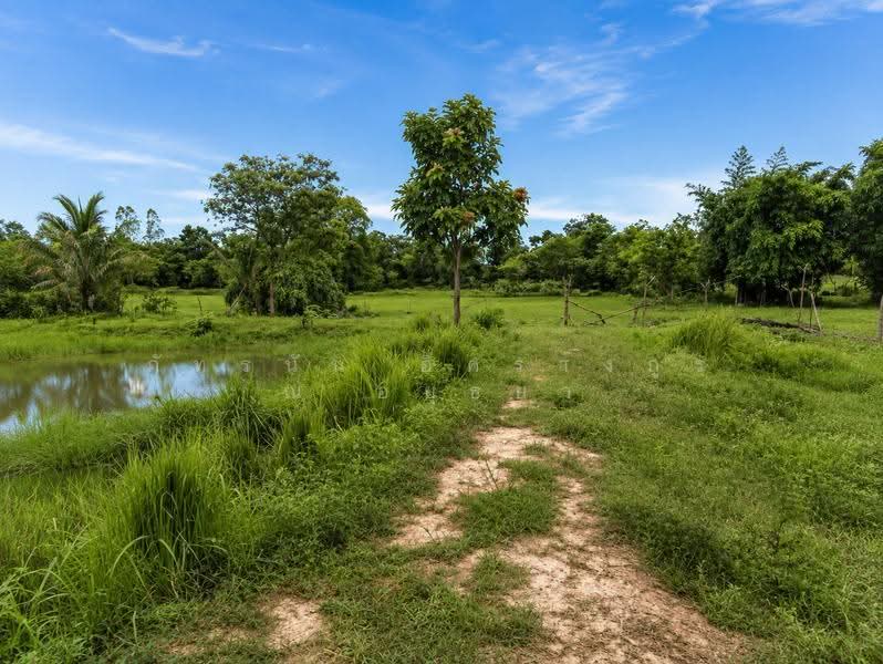 ที่ดินเปล่าถมแล้ว ตำบลโนนท่อน อำเภอเมืองขอนแก่น จังหวัดขอนแก่น, Khon Kaen, Non Ton, Muang Khon Kaen, Khon Kaen, , 64,256 sqm, Land For Sale, by ภัทรนัน อิศรางกูร ณ อยุธยา, 500520317 - DDproperty.com