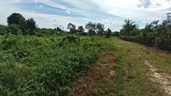 Urgent sale! Land near Keha Kru Thai University, old Hat Yai-Songkhla road. Size: 1 rai 1 ngan 21 sq, Songkhla, Pha Wong, Muang Songkhla, Songkhla, , 2,084 sqm, Land For Sale, by Rachen Nopsuwan, 500520380 - DDproperty.com