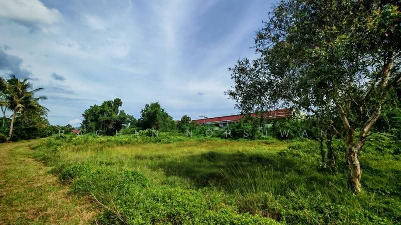 Urgent sale! Land near Keha Kru Thai University, old Hat Yai-Songkhla road. Size: 1 rai 1 ngan 21 sq, Songkhla, Pha Wong, Muang Songkhla, Songkhla, , 2,084 sqm, Land For Sale, by Rachen Nopsuwan, 500520380 - DDproperty.com