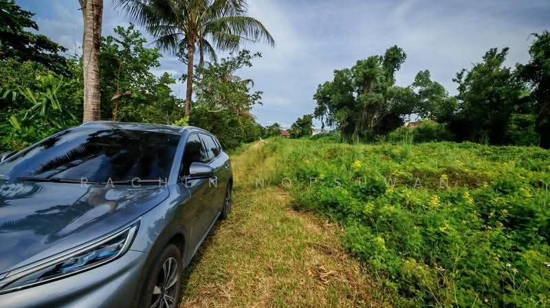 Urgent sale! Land near Keha Kru Thai University, old Hat Yai-Songkhla road. Size: 1 rai 1 ngan 21 sq, Songkhla, Pha Wong, Muang Songkhla, Songkhla, , 2,084 sqm, Land For Sale, by Rachen Nopsuwan, 500520380 - DDproperty.com