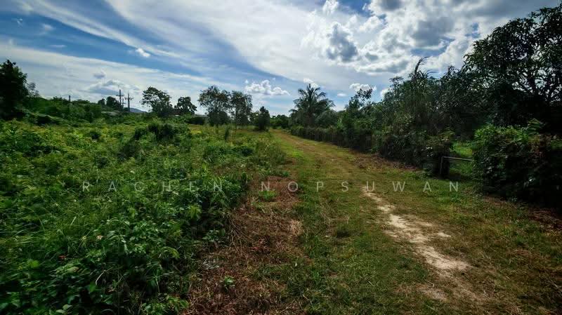Urgent sale! Land near Keha Kru Thai University, old Hat Yai-Songkhla road. Size: 1 rai 1 ngan 21 sq, Songkhla, Pha Wong, Muang Songkhla, Songkhla, , 2,084 sqm, Land For Sale, by Rachen Nopsuwan, 500520380 - DDproperty.com