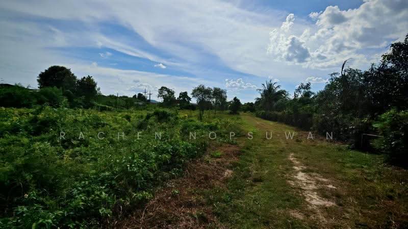 Urgent sale! Land near Keha Kru Thai University, old Hat Yai-Songkhla road. Size: 1 rai 1 ngan 21 sq, Songkhla, Pha Wong, Muang Songkhla, Songkhla, , 2,084 sqm, Land For Sale, by Rachen Nopsuwan, 500520380 - DDproperty.com