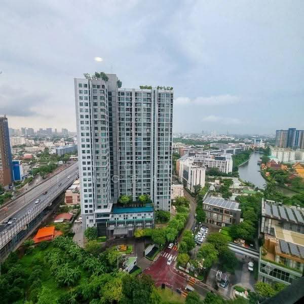 The Base Park West Sukhumvit 77, Bangkok, 11 Soi Sukhumvit 77 Sukhumvit Road, Phra Kanong Nua, Watthana, Bangkok, 1 Bedroom, 31 sqm, Condo For Rent, by Nichapa Tangdachsumrit, 500520546 - DDproperty.com