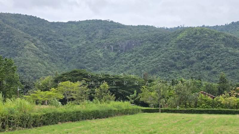 Toscana Valley, Nakhon Ratchasima, 2, Moo 11, Ban Noen Thong, Pong Ta Long, Pak Chong, Nakhon Ratchasima, , 2,400 sqm, Land For Sale, by Saksri Sirichokprasert, 500520614 - DDproperty.com