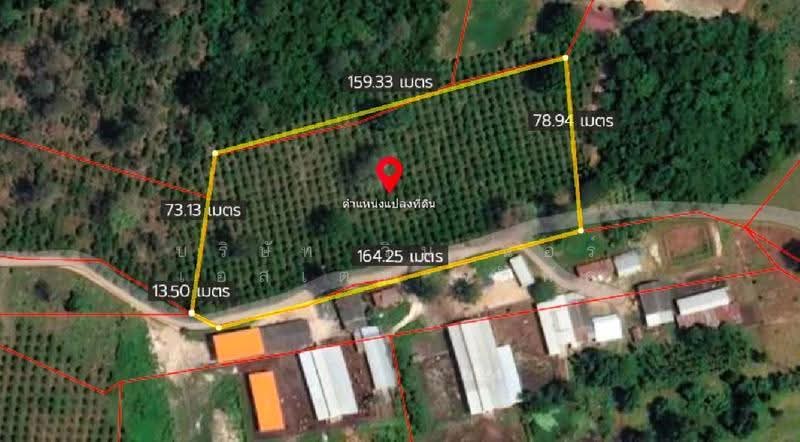 Land for Sale in Pak Chong, Nakhon Ratchasima, Wang Zai, Pak Chong, Nakhon Ratchasima, , 12,724 sqm, Land For Sale, by Mint Estate, 500520675 - DDproperty.com