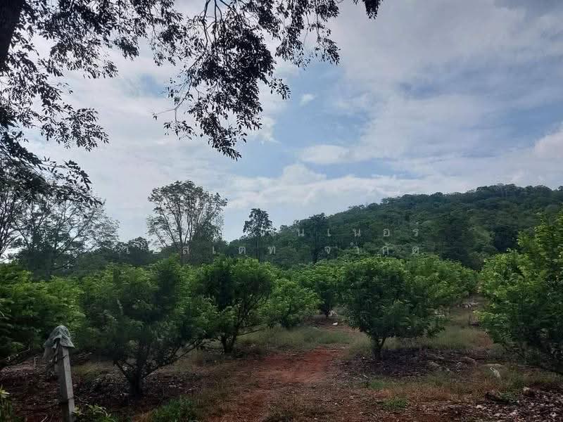 Land for Sale in Pak Chong, Nakhon Ratchasima, Wang Zai, Pak Chong, Nakhon Ratchasima, , 12,724 sqm, Land For Sale, by Mint Estate, 500520675 - DDproperty.com