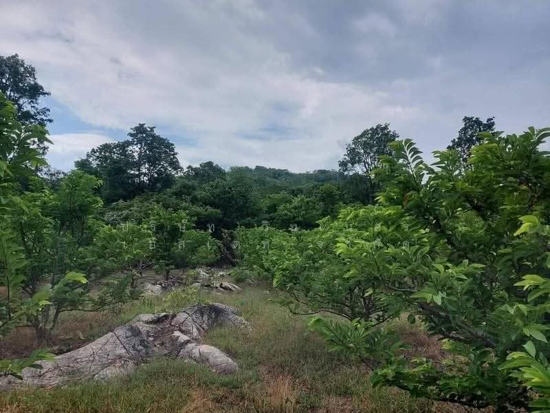 Land for Sale in Pak Chong, Nakhon Ratchasima, Wang Zai, Pak Chong, Nakhon Ratchasima, , 12,724 sqm, Land For Sale, by Mint Estate, 500520675 - DDproperty.com