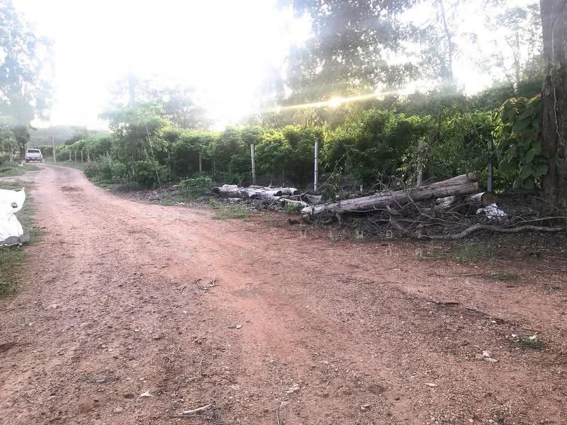 Land for Sale in Pak Chong, Nakhon Ratchasima, Wang Zai, Pak Chong, Nakhon Ratchasima, , 12,724 sqm, Land For Sale, by Mint Estate, 500520675 - DDproperty.com