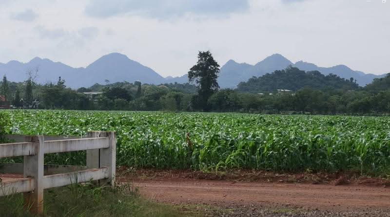 Khao Yai, Pak Chong, Mu-Si, Nakhon Ratchasima, Mu Si, Pak Chong, Nakhon Ratchasima, , 1,768 sqm, Land For Sale, by Saksri Sirichokprasert, 500520677 - DDproperty.com