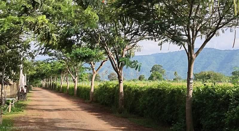 Khao Yai, Pak Chong, Mu-Si, Nakhon Ratchasima, Mu Si, Pak Chong, Nakhon Ratchasima, , 1,768 sqm, Land For Sale, by Saksri Sirichokprasert, 500520677 - DDproperty.com