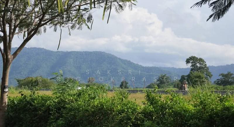 Khao Yai, Pak Chong, Mu-Si, Nakhon Ratchasima, Mu Si, Pak Chong, Nakhon Ratchasima, , 1,768 sqm, Land For Sale, by Saksri Sirichokprasert, 500520677 - DDproperty.com