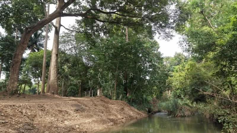 Khao Yai, Pak Chong, Phaya Yen, Nakhon Ratchasima, Phyayen, Pak Chong, Nakhon Ratchasima, , 2,712 sqm, Land For Sale, by Saksri Sirichokprasert, 500520681 - DDproperty.com