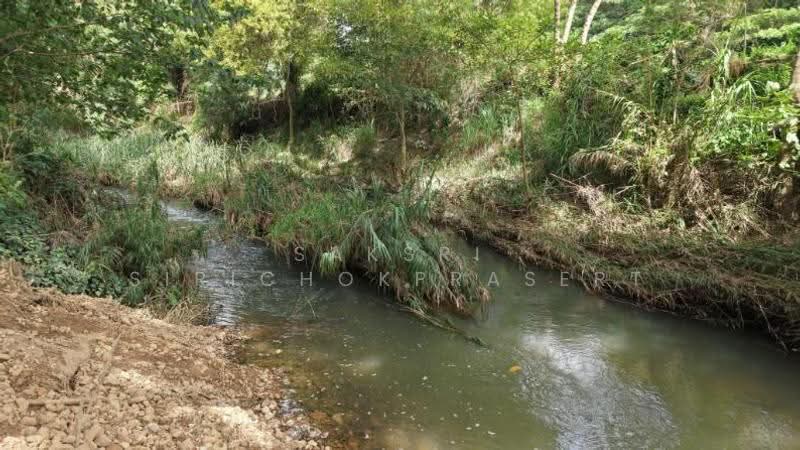 Khao Yai, Pak Chong, Phaya Yen, Nakhon Ratchasima, Phyayen, Pak Chong, Nakhon Ratchasima, , 2,712 sqm, Land For Sale, by Saksri Sirichokprasert, 500520681 - DDproperty.com