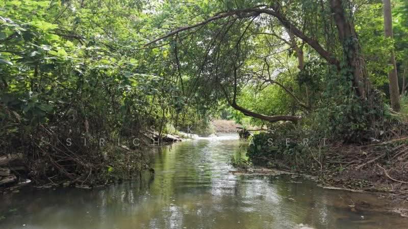 Khao Yai, Pak Chong, Phaya Yen, Nakhon Ratchasima, Phyayen, Pak Chong, Nakhon Ratchasima, , 2,712 sqm, Land For Sale, by Saksri Sirichokprasert, 500520681 - DDproperty.com