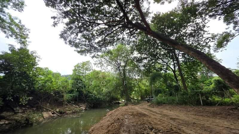 Khao Yai, Pak Chong, Phaya Yen, Nakhon Ratchasima, Phyayen, Pak Chong, Nakhon Ratchasima, , 2,712 sqm, Land For Sale, by Saksri Sirichokprasert, 500520681 - DDproperty.com