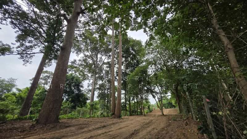 Khao Yai, Pak Chong, Phaya Yen, Nakhon Ratchasima, Phyayen, Pak Chong, Nakhon Ratchasima, , 2,712 sqm, Land For Sale, by Saksri Sirichokprasert, 500520681 - DDproperty.com