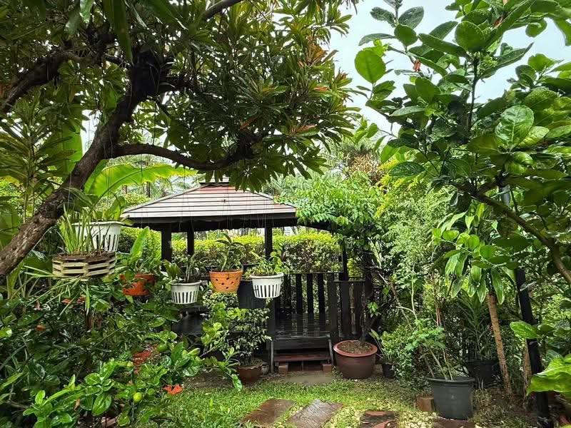 Grand Canal Donmuang, Bangkok, Cherdwutthakat Road, Si Khan, Don Mueang, Bangkok, 5 Bedrooms, 450 sqm, Single Detached House For Sale, by วันดี รอดปาน, 500520683 - DDproperty.com