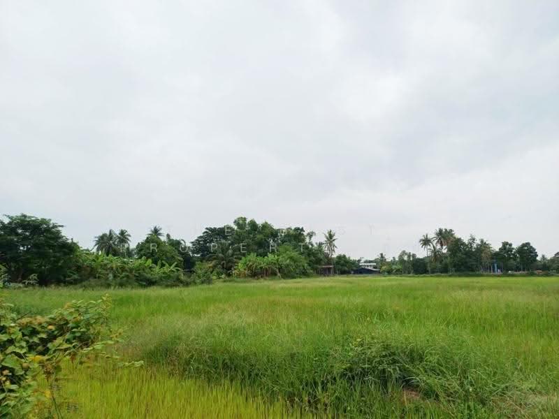 ที่ดินป่ามะคาบ พิจิตร, Phichit, Pa Makhap, Muang Phichit, Phichit, , 11,008 sqm, Land For Sale, by The Best Property อ้อ, 500520700 - DDproperty.com