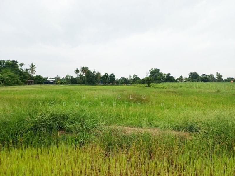 ที่ดินป่ามะคาบ พิจิตร, พิจิตร, ป่ามะคาบ, เมืองพิจิตร, พิจิตร, 11,008 ตร.ม., ที่ดิน ขาย, โดย The Best Property อ้อ, 500520700 - DDproperty.com