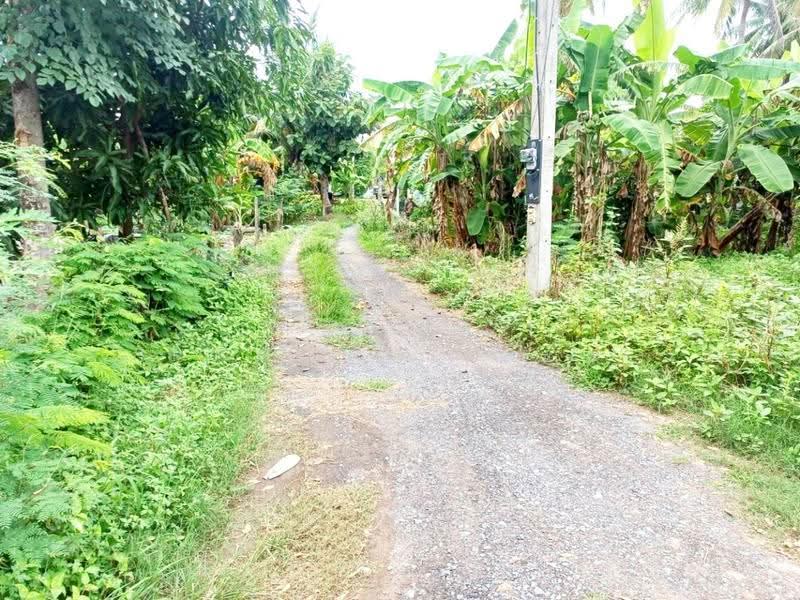 ที่ดินป่ามะคาบ พิจิตร, Phichit, Pa Makhap, Muang Phichit, Phichit, , 11,008 sqm, Land For Sale, by The Best Property อ้อ, 500520700 - DDproperty.com