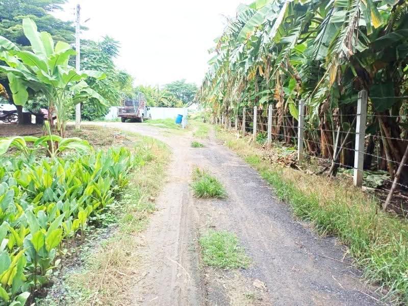 ที่ดินป่ามะคาบ พิจิตร, พิจิตร, ป่ามะคาบ, เมืองพิจิตร, พิจิตร, 11,008 ตร.ม., ที่ดิน ขาย, โดย The Best Property อ้อ, 500520700 - DDproperty.com