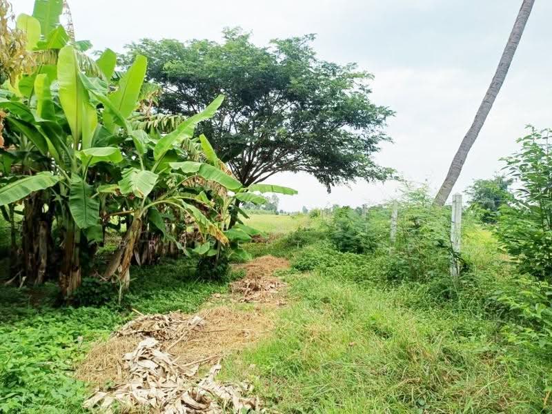 ที่ดินป่ามะคาบ พิจิตร, Phichit, Pa Makhap, Muang Phichit, Phichit, , 11,008 sqm, Land For Sale, by The Best Property อ้อ, 500520700 - DDproperty.com