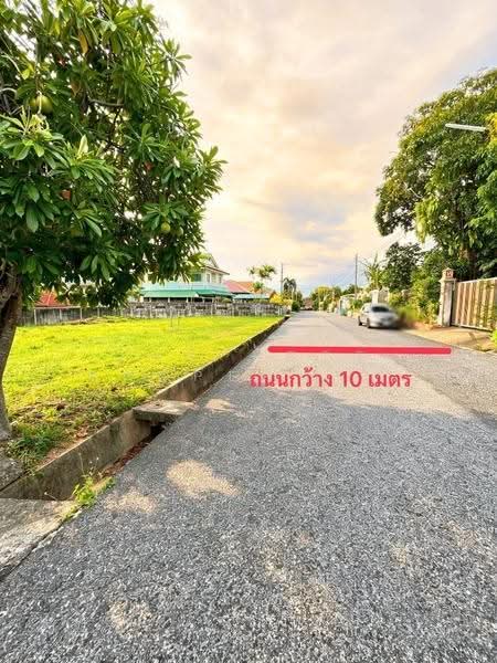 สหกรณ์ไทยออยล์ ศรีราชา, ชลบุรี, สุรศักดิ์, ศรีราชา, ชลบุรี, 816 ตร.ม., ที่ดิน ขาย, โดย The Best Property กิ๊ก, 500520703 - DDproperty.com