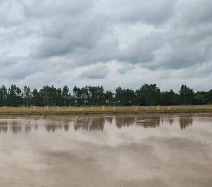 ที่ดินบรรพตพิสัย นครสวรรค์, นครสวรรค์, หนองกรด, บรรพตพิสัย, นครสวรรค์, 41,172 ตร.ม., ที่ดิน ขาย, โดย The Best Property ลูกปัด, 500520736 - DDproperty.com