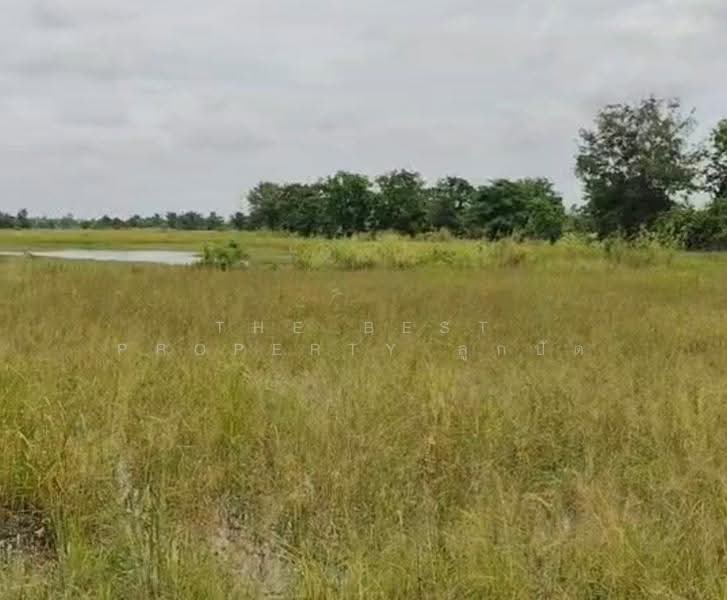 ที่ดินบรรพตพิสัย นครสวรรค์, Nakhon Sawan, Nong Krot, Banphot Phisai, Nakhon Sawan, , 41,172 sqm, Land For Sale, by The Best Property ลูกปัด, 500520736 - DDproperty.com