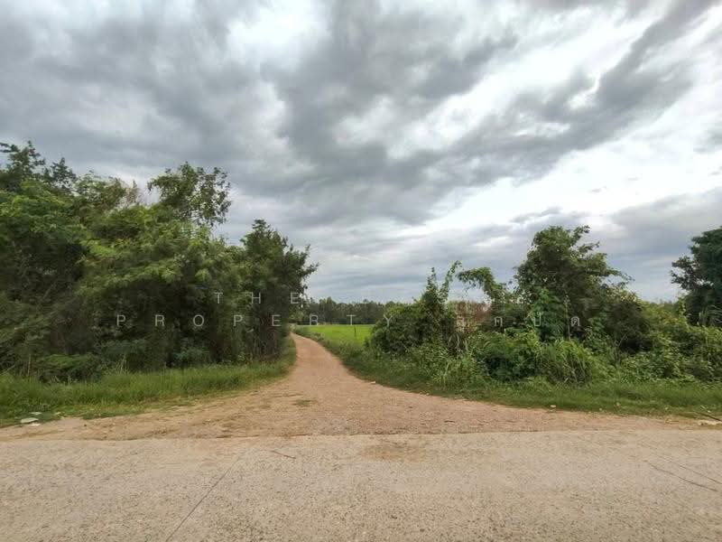 ที่ดินบรรพตพิสัย นครสวรรค์, นครสวรรค์, หนองกรด, บรรพตพิสัย, นครสวรรค์, 41,172 ตร.ม., ที่ดิน ขาย, โดย The Best Property ลูกปัด, 500520736 - DDproperty.com
