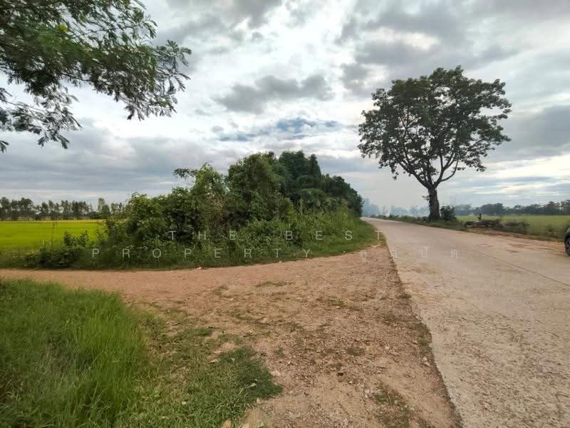 ที่ดินบรรพตพิสัย นครสวรรค์, นครสวรรค์, หนองกรด, บรรพตพิสัย, นครสวรรค์, 41,172 ตร.ม., ที่ดิน ขาย, โดย The Best Property ลูกปัด, 500520736 - DDproperty.com