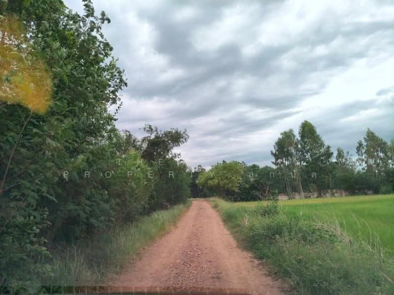 ที่ดินบรรพตพิสัย นครสวรรค์, Nakhon Sawan, Nong Krot, Banphot Phisai, Nakhon Sawan, , 41,172 sqm, Land For Sale, by The Best Property ลูกปัด, 500520736 - DDproperty.com