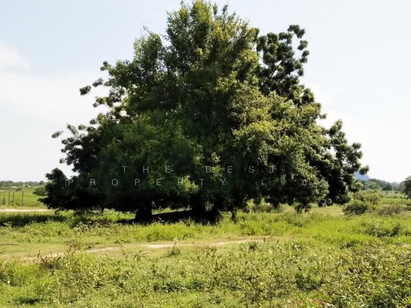 ที่ดินเกาะหลัก ประจวบคีรีขันธ์, Prachuap Khiri Khan, Ko Lak, Muang Prachaubkirikhan, Prachuap Khiri Khan, , 202 sqm, Land For Sale, by The Best Property เจี๊ยบ, 500520795 - DDproperty.com