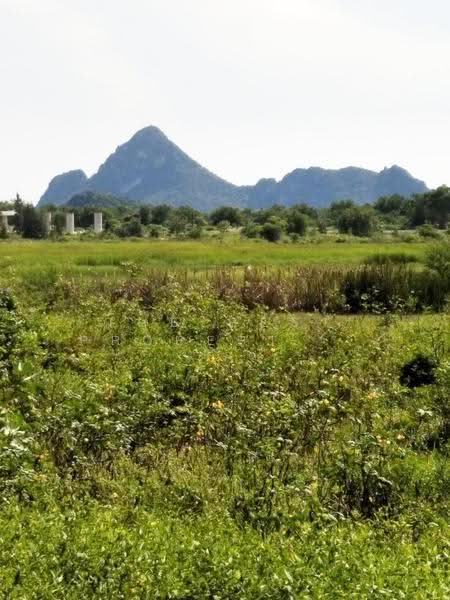 ที่ดินเกาะหลัก ประจวบคีรีขันธ์, ประจวบคีรีขันธ์, เกาะหลัก, เมืองประจวบคีรีขันธ์, ประจวบคีรีขันธ์, 202 ตร.ม., ที่ดิน ขาย, โดย The Best Property เจี๊ยบ, 500520795 - DDproperty.com