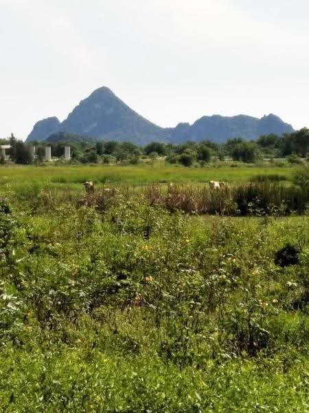ที่ดินเกาะหลัก ประจวบคีรีขันธ์, Prachuap Khiri Khan, Ko Lak, Muang Prachaubkirikhan, Prachuap Khiri Khan, , 202 sqm, Land For Sale, by The Best Property เจี๊ยบ, 500520795 - DDproperty.com